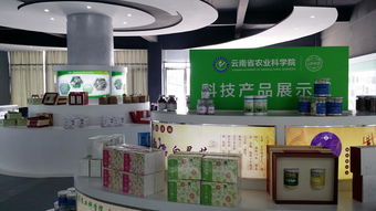 云南省農(nóng)業(yè)科學(xué)院科技產(chǎn)品電子商務(wù)營(yíng)銷(xiāo)中心成立，開(kāi)啟智慧農(nóng)業(yè)新篇章